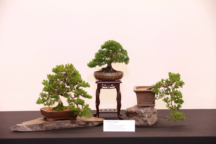 Shohin display (23, 22, 24)