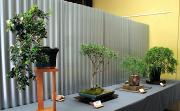 Display-6