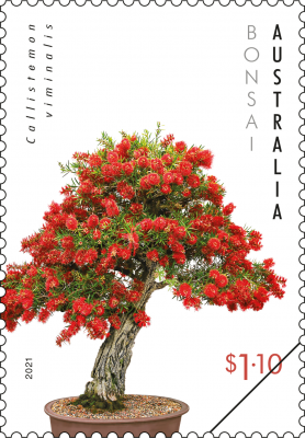 bottlebrush