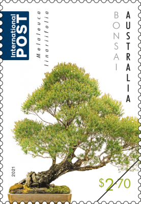 paperbark
